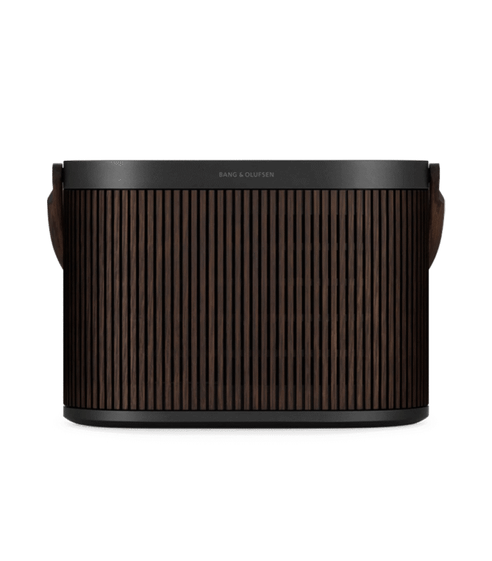 Powerful portable speaker